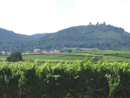 Vignoble et chateaux en alsace